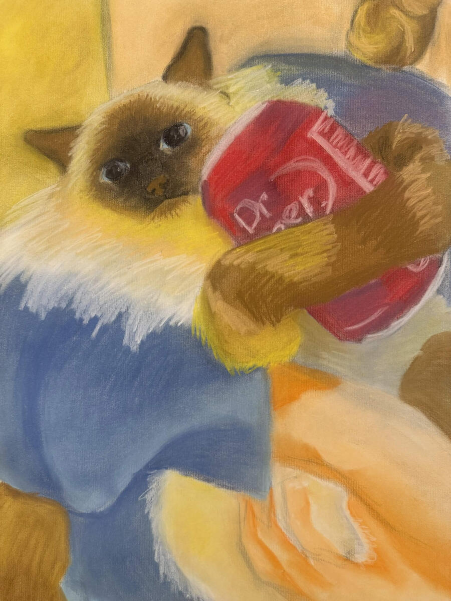 Dr Pepper cat 2 Dr Pepper cat 2