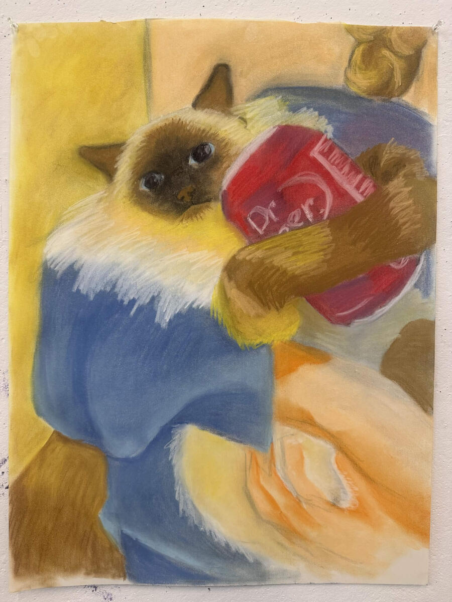 Dr Pepper cat 1 Dr Pepper cat 1
