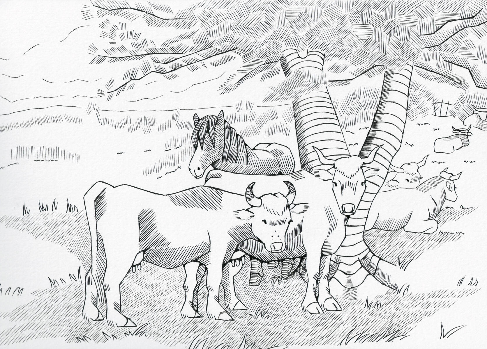 Cows Cows