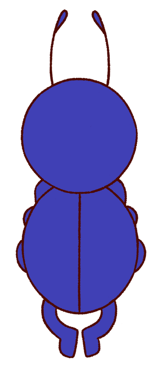 bluebug logo back bluebug logo back